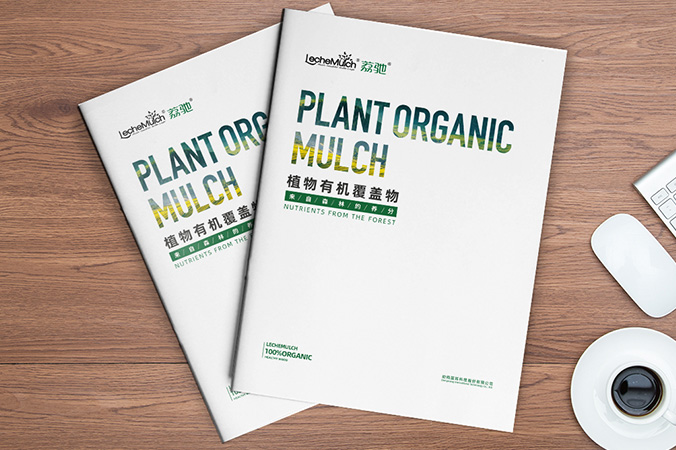 產(chǎn)品宣傳冊設計 企業(yè)畫(huà)冊設計 宣傳物料設計 動(dòng)向國際科技