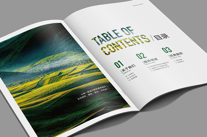 產(chǎn)品宣傳冊設計 企業(yè)畫(huà)冊設計 宣傳物料設計 動(dòng)向國際科技