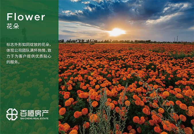 logo設計  公司logo設計  企業(yè)標志設計  百橙房產(chǎn)