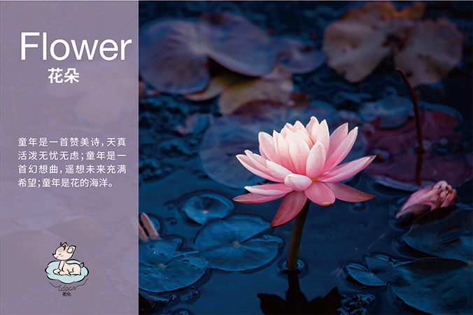 愛(ài)朵 logo設計 商標設計 標志設計