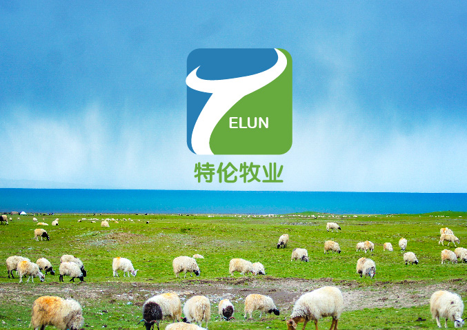 特倫牧業(yè) 商標設計 logo設計  北京VI設計 北京品牌設計