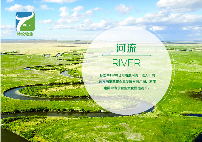 特倫牧業(yè) 商標設計 logo設計  北京VI設計 北京品牌設計