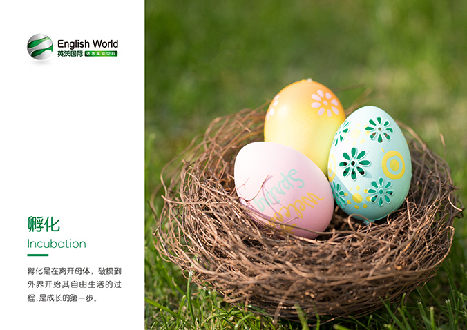 英沃國際  商標設計  VI設計 品牌設計