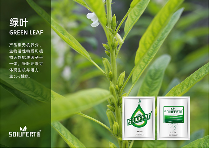 速收 包裝設計 產(chǎn)品包裝設計 包裝盒設計