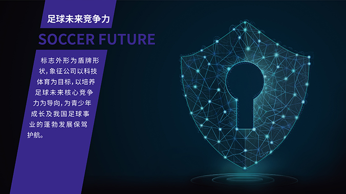 雪域未來(lái) logo設計 公司logo設計 企業(yè)標志設計