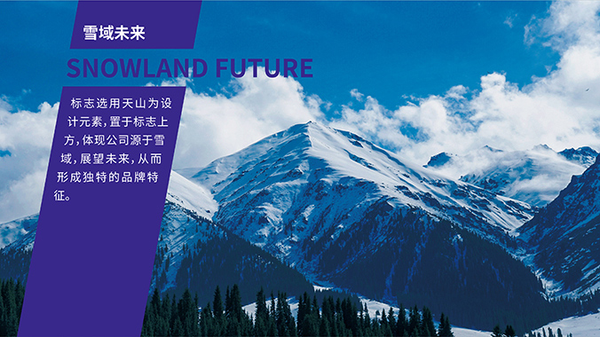 雪域未來(lái) logo設計 公司logo設計 企業(yè)標志設計