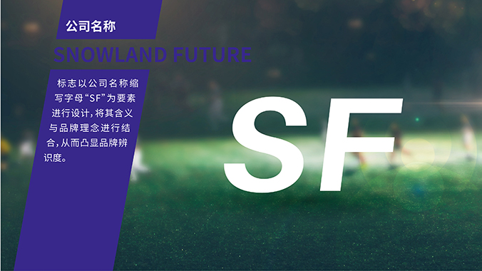 雪域未來(lái) logo設計 公司logo設計 企業(yè)標志設計