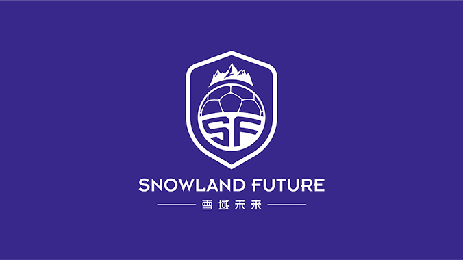 雪域未來(lái) logo設計 公司logo設計 企業(yè)標志設計