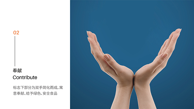 logo設計  品牌設計  品牌VI設計   直白