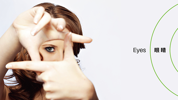 品牌設計，VI設計，企業(yè)VI設計   中知認證