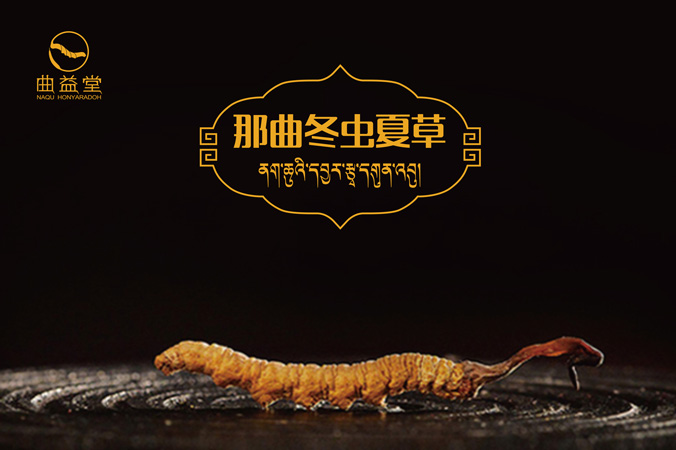 曲益堂 包裝設計 產(chǎn)品包裝設計 包裝盒設計