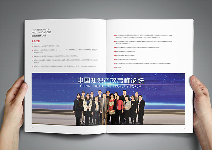 中國專(zhuān)利保護協(xié)會(huì )  宣傳冊設計,產(chǎn)品畫(huà)冊設計,畫(huà)冊設計
