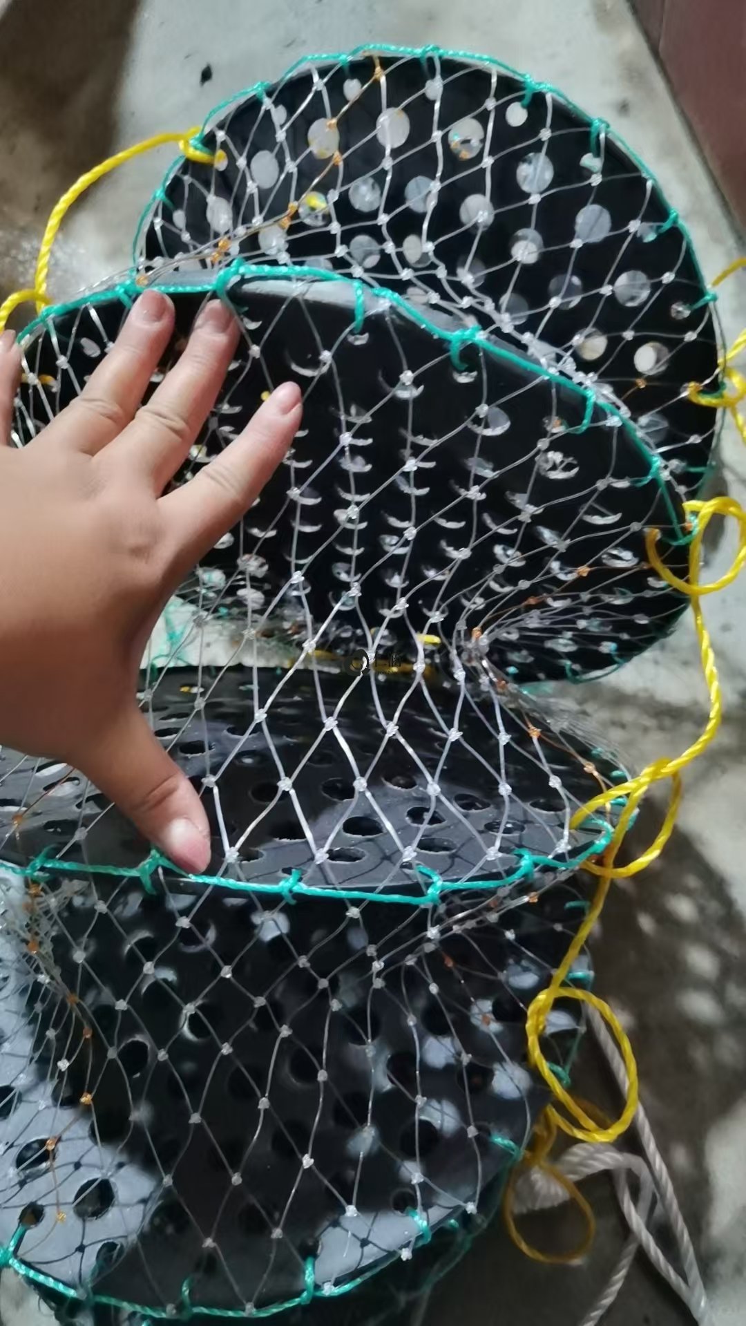 單絲網(wǎng)生蠔籠